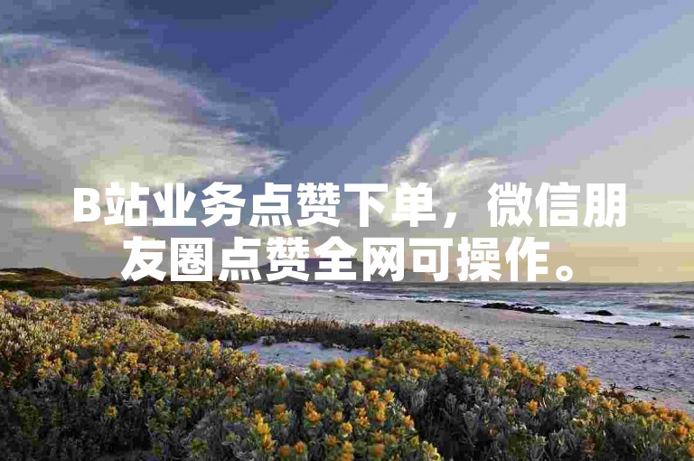 B站业务点赞下单，微信朋友圈点赞全网可操作。