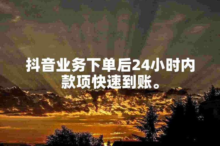 抖音业务下单后24小时内款项快速到账。