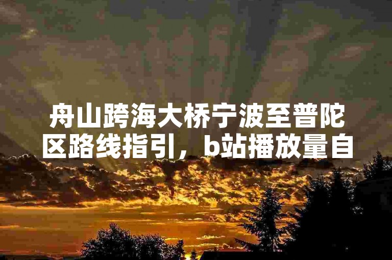 舟山跨海大桥宁波至普陀区路线指引，b站播放量自助平台助力。