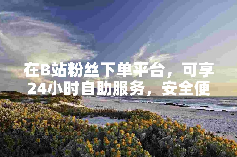 在B站粉丝下单平台，可享24小时自助服务，安全便捷。