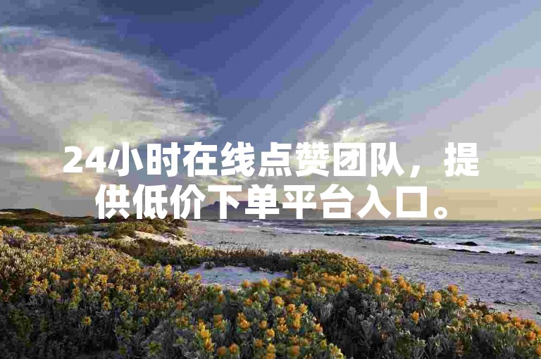 24小时在线点赞团队，提供低价下单平台入口。