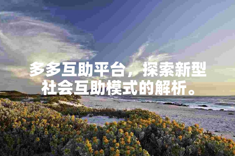 多多互助平台，探索新型社会互助模式的解析。