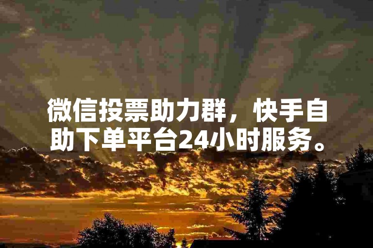 微信投票助力群，快手自助下单平台24小时服务。