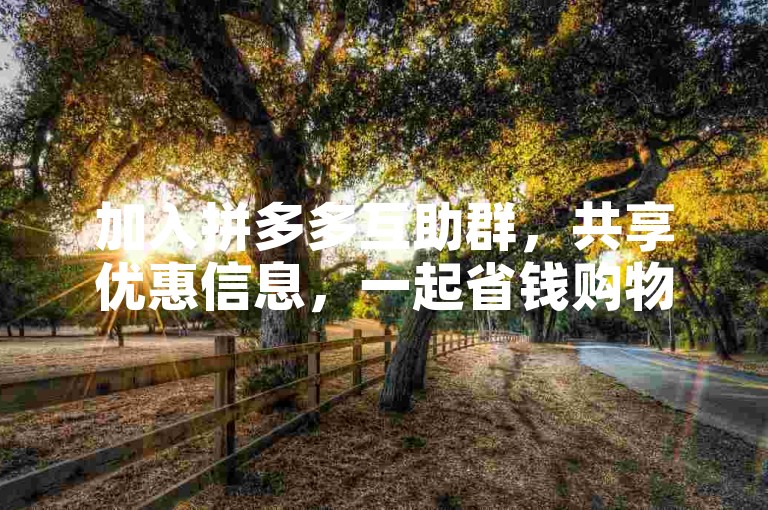 加入拼多多互助群，共享优惠信息，一起省钱购物。