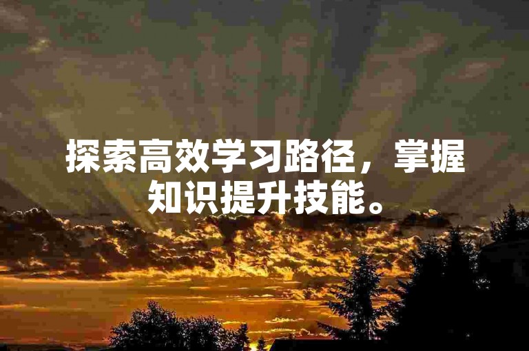 探索高效学习路径，掌握知识提升技能。