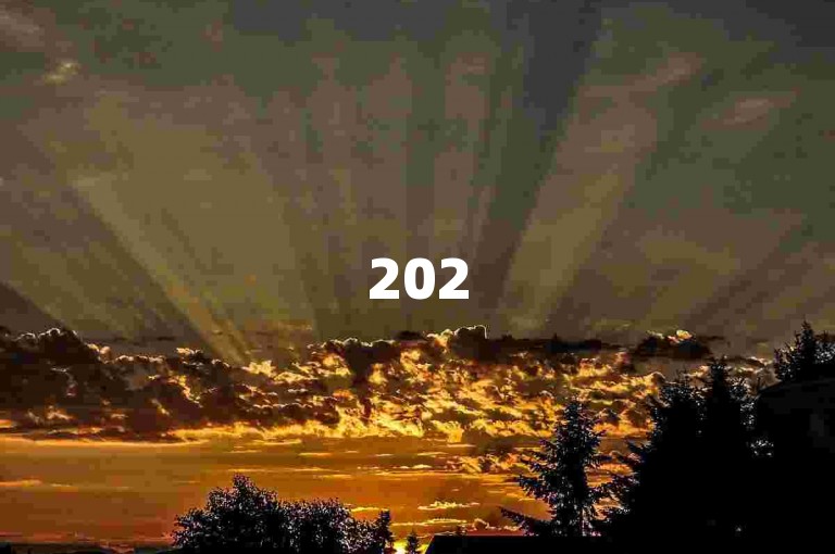 2025拼多多砍价助力群，大家可入群帮忙助力。