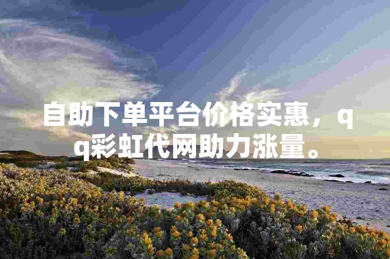 自助下单平台价格实惠，qq彩虹代网助力涨量。