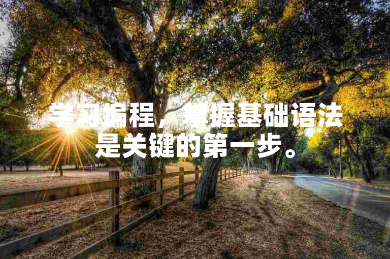 学习编程，掌握基础语法是关键的第一步。