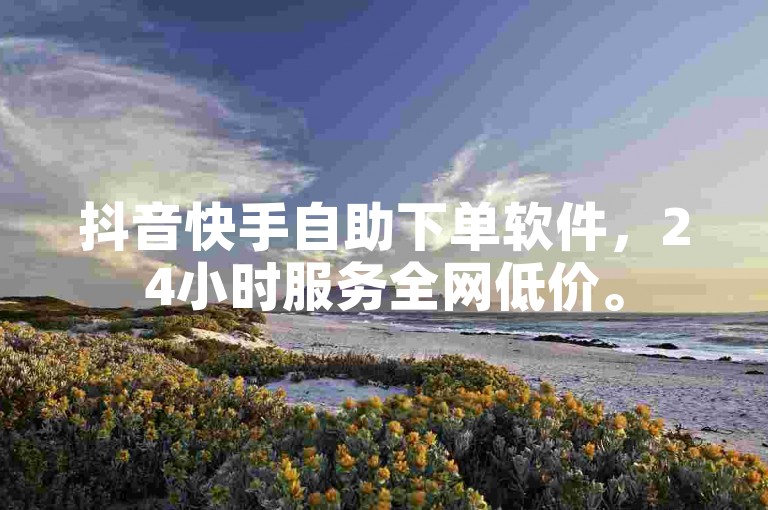 抖音快手自助下单软件，24小时服务全网低价。