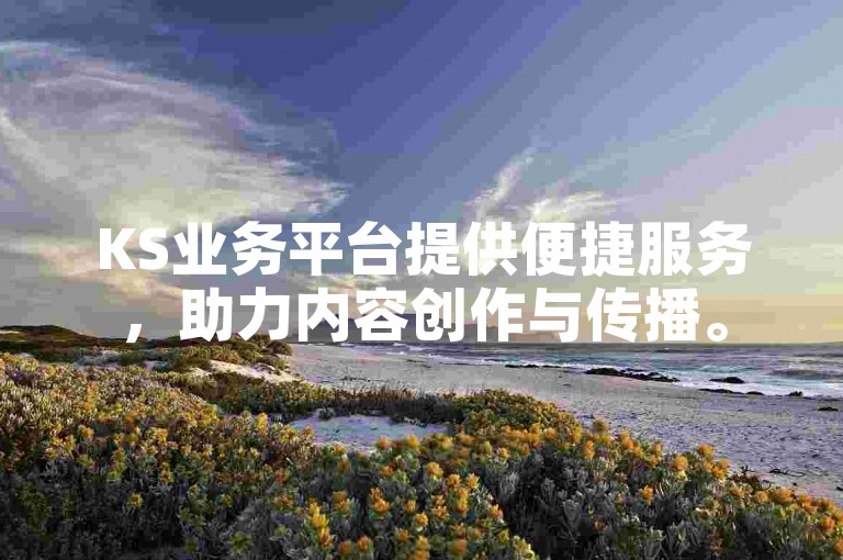 KS业务平台提供便捷服务，助力内容创作与传播。