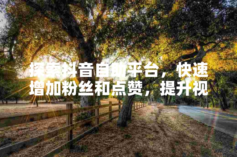 探索抖音自助平台，快速增加粉丝和点赞，提升视频曝光度。