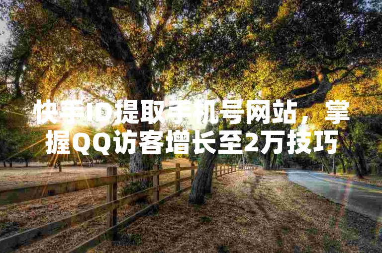 快手ID提取手机号网站，掌握QQ访客增长至2万技巧。