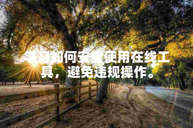 学习如何安全使用在线工具，避免违规操作。