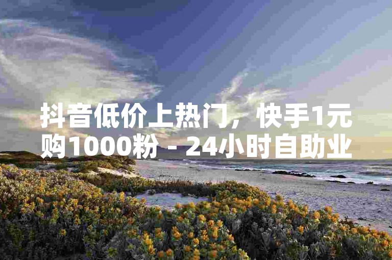 抖音低价上热门，快手1元购1000粉 - 24小时自助业务平台。