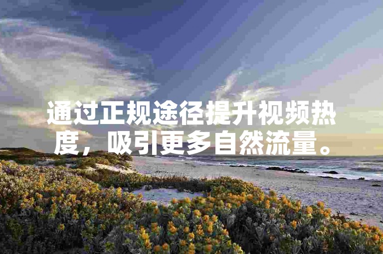 通过正规途径提升视频热度，吸引更多自然流量。