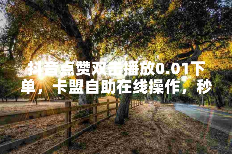 抖音点赞双击播放0.01下单，卡盟自助在线操作，秒到账。