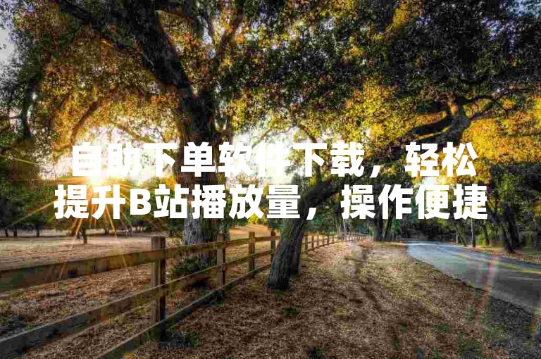 自助下单软件下载，轻松提升B站播放量，操作便捷。