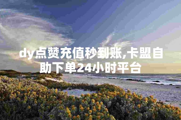 dy点赞充值秒到账,卡盟自助下单24小时平台