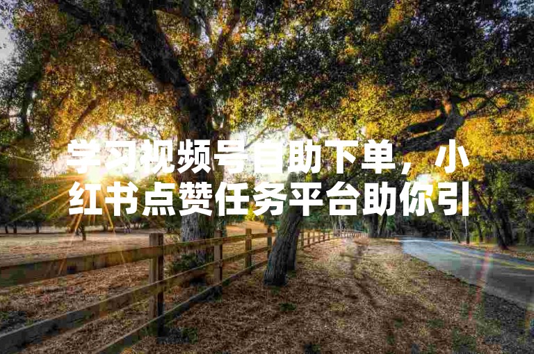 学习视频号自助下单，小红书点赞任务平台助你引流。