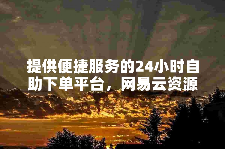 提供便捷服务的24小时自助下单平台，网易云资源丰富。