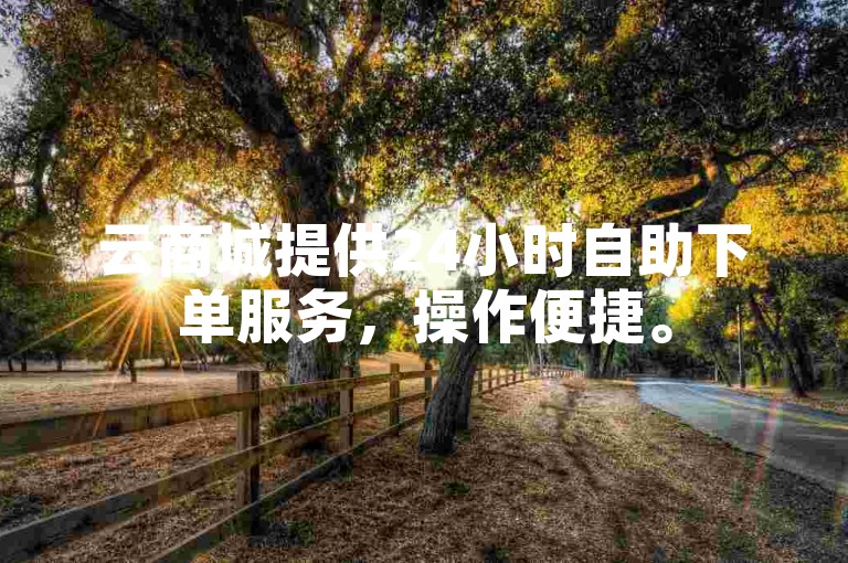 云商城提供24小时自助下单服务，操作便捷。