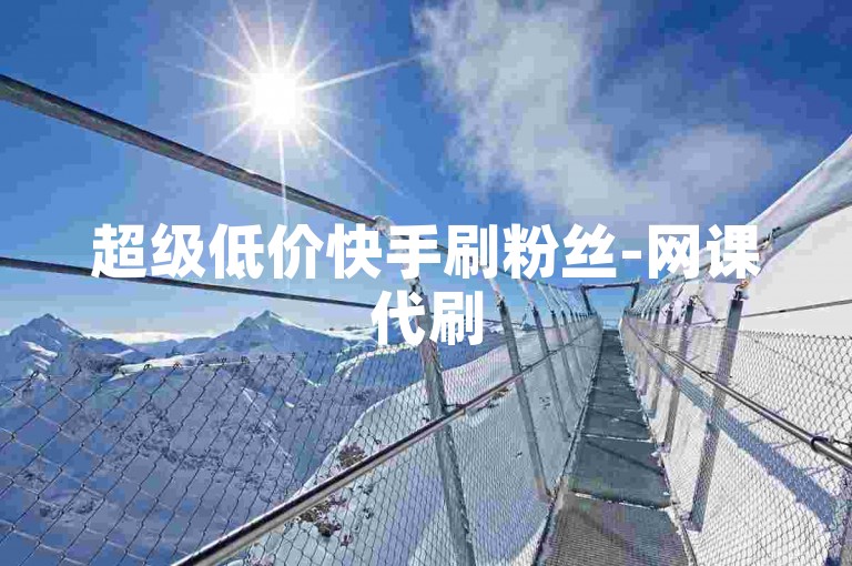 超级低价快手刷粉丝-网课代刷