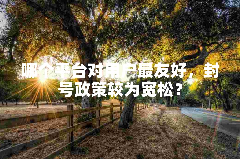 哪个平台对用户最友好，封号政策较为宽松？