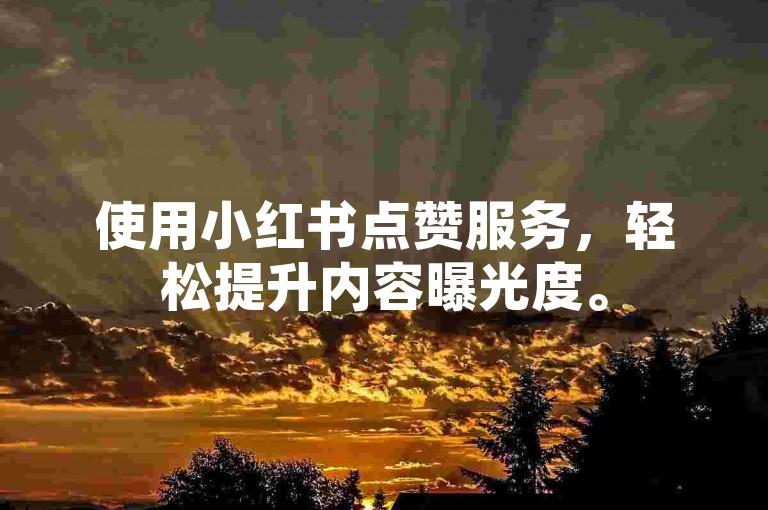 使用小红书点赞服务，轻松提升内容曝光度。