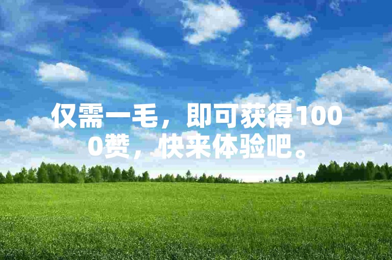 仅需一毛，即可获得1000赞，快来体验吧。