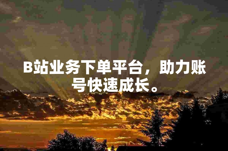 B站业务下单平台，助力账号快速成长。