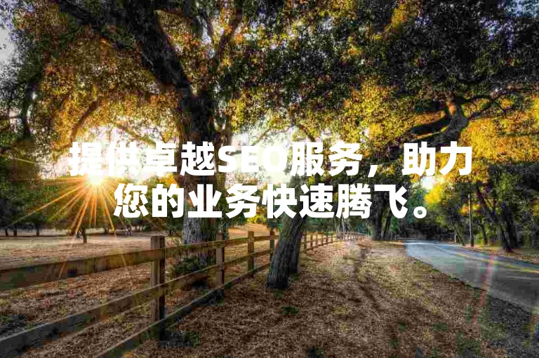 提供卓越SEO服务，助力您的业务快速腾飞。