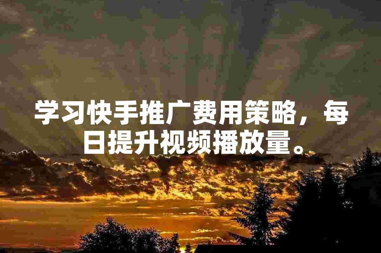 学习快手推广费用策略，每日提升视频播放量。