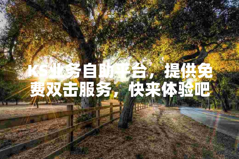 KS业务自助平台，提供免费双击服务，快来体验吧。