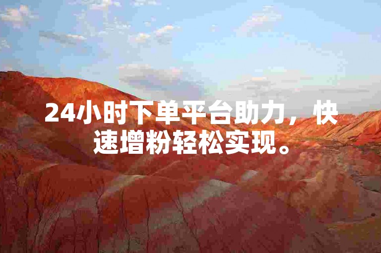 24小时下单平台助力，快速增粉轻松实现。