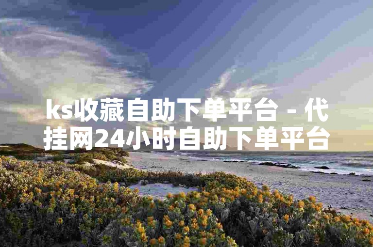 ks收藏自助下单平台 - 代挂网24小时自助下单平台