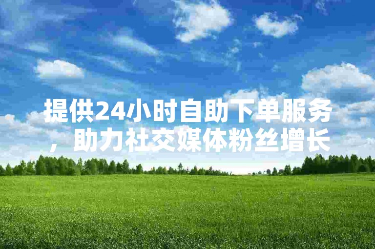 提供24小时自助下单服务，助力社交媒体粉丝增长。