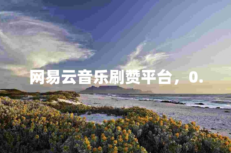 网易云音乐刷赞平台，0.5元可购1000赞，自助下单操作简便。