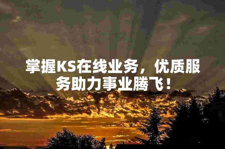 掌握KS在线业务，优质服务助力事业腾飞！