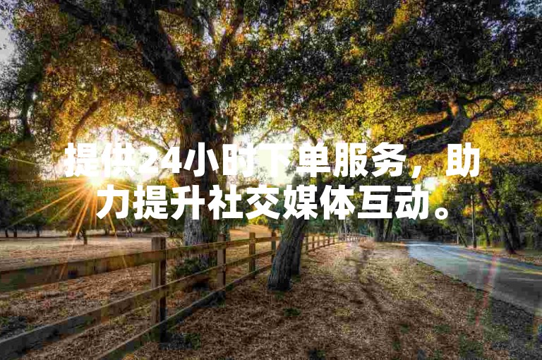 提供24小时下单服务，助力提升社交媒体互动。