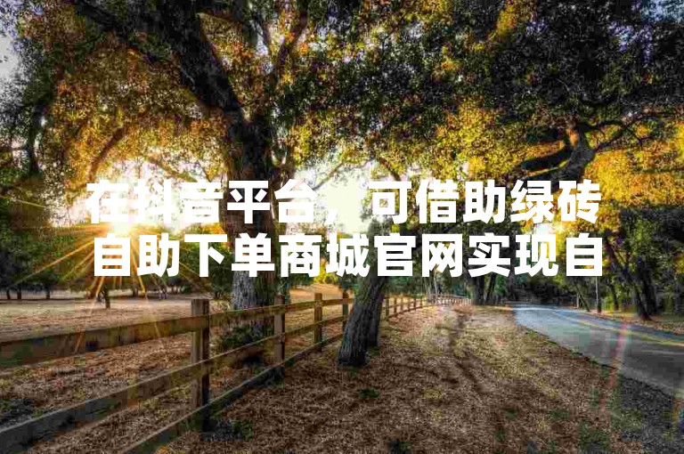 在抖音平台，可借助绿砖自助下单商城官网实现自助服务。
