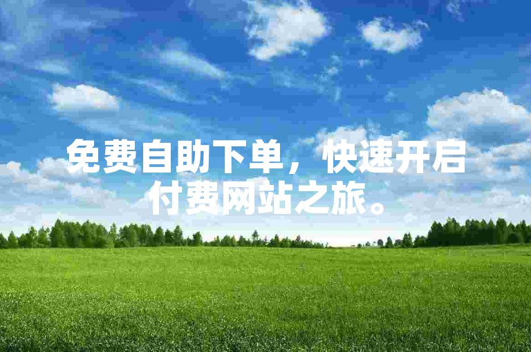 免费自助下单，快速开启付费网站之旅。