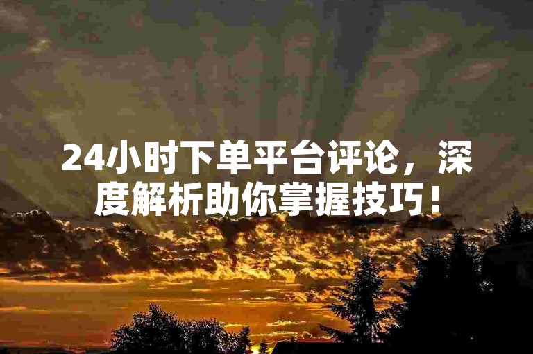 24小时下单平台评论，深度解析助你掌握技巧！