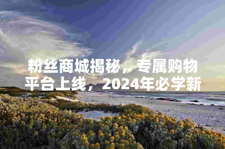 粉丝商城揭秘，专属购物平台上线，2024年必学新趋势。