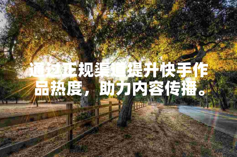 通过正规渠道提升快手作品热度，助力内容传播。