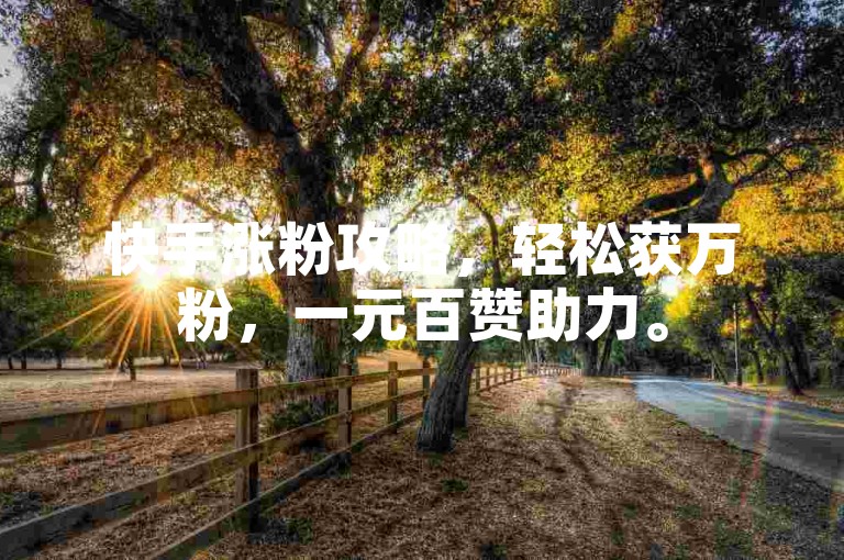 快手涨粉攻略，轻松获万粉，一元百赞助力。