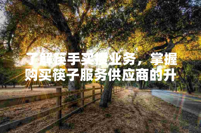 了解筷手买攒业务，掌握购买筷子服务供应商的升级技巧。