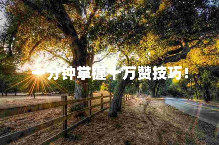一分钟掌握十万赞技巧！