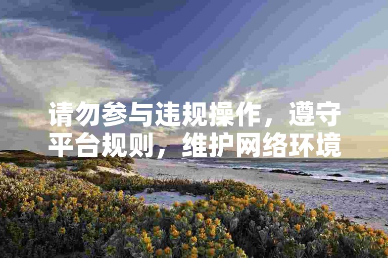 请勿参与违规操作，遵守平台规则，维护网络环境。