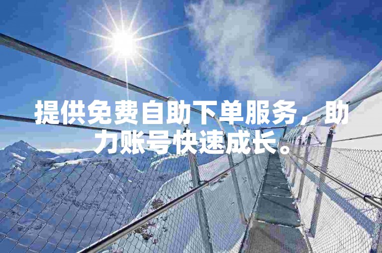 提供免费自助下单服务，助力账号快速成长。
