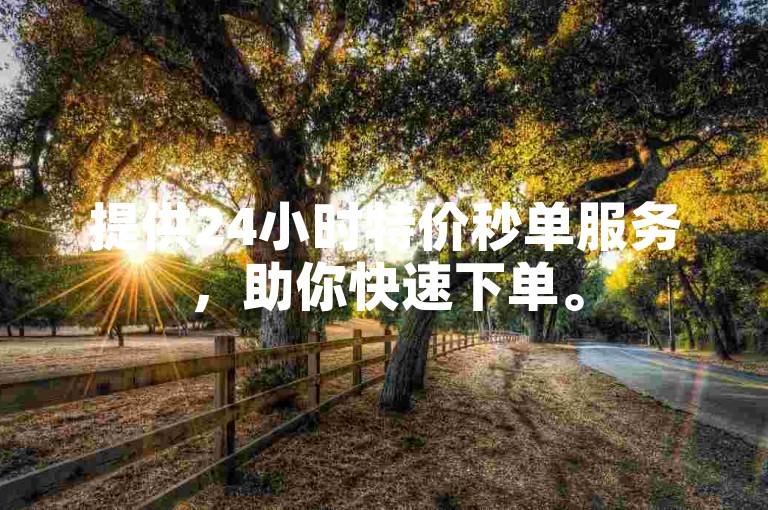 提供24小时特价秒单服务，助你快速下单。